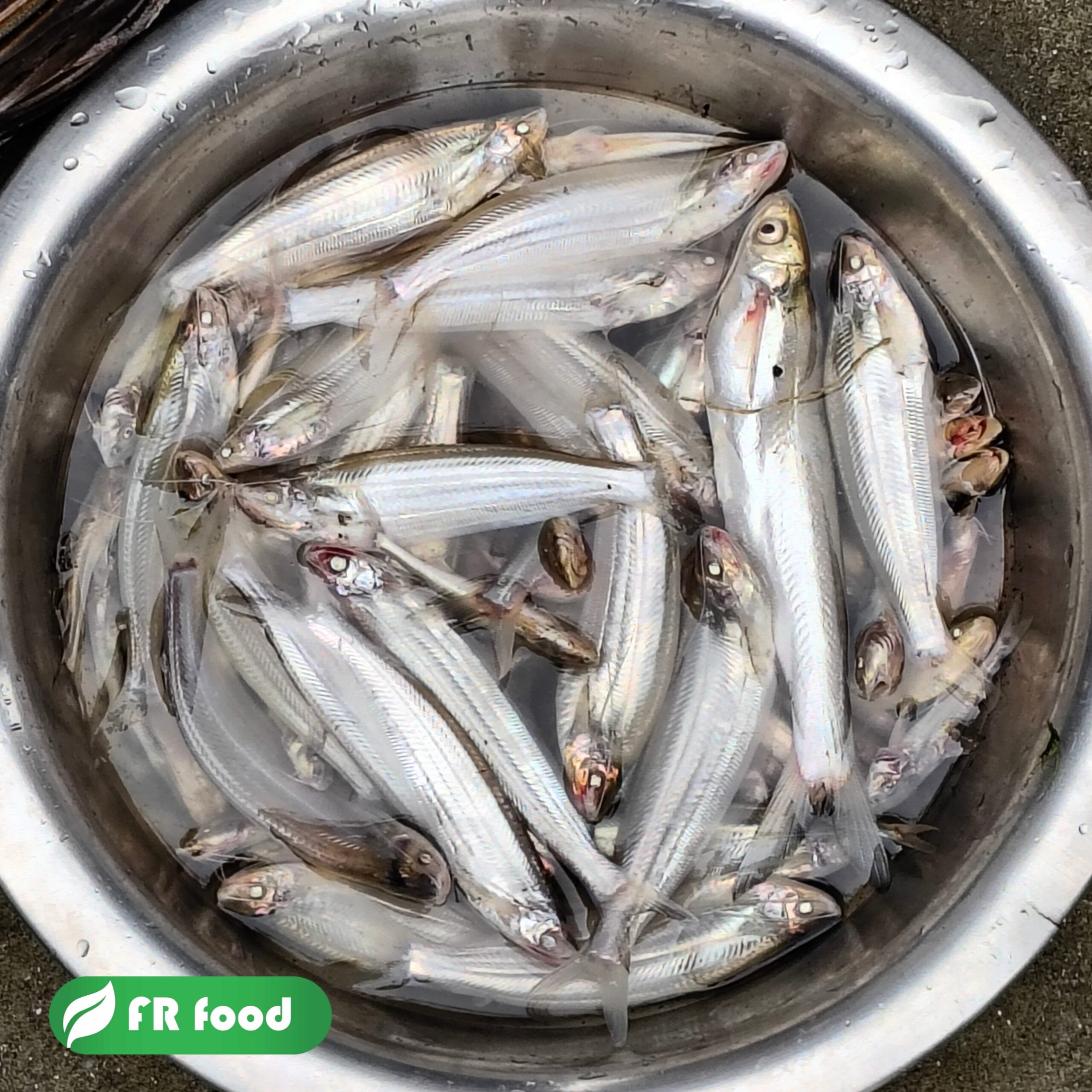 কাজুলি মাছ