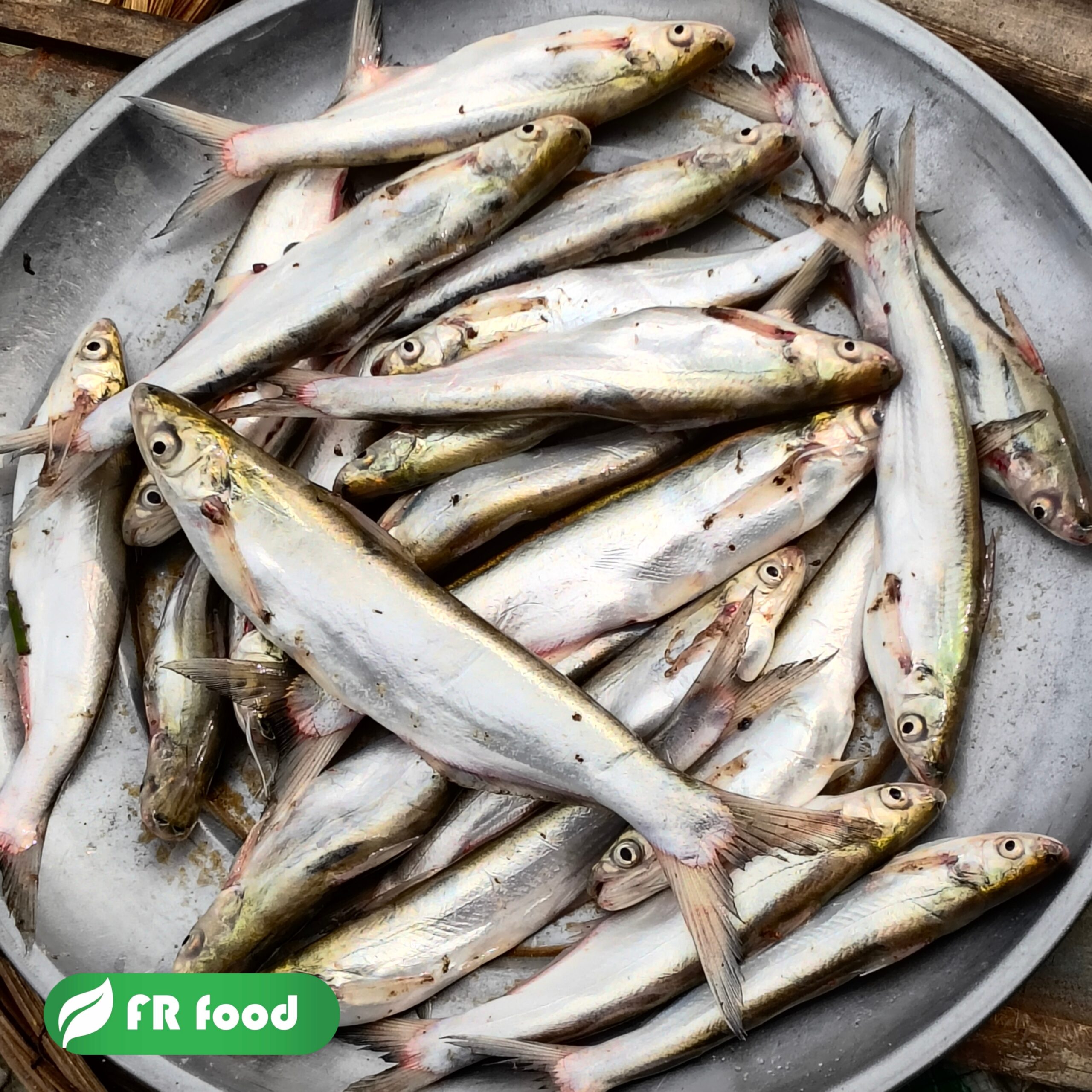 ঘাউরা,,বাচা